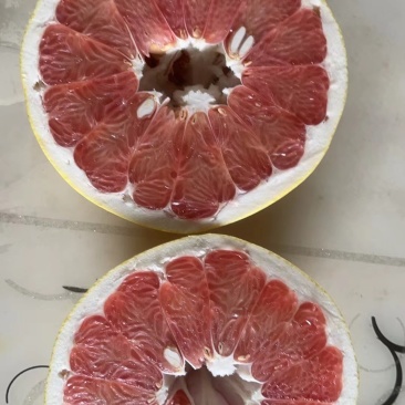 红芯柚子