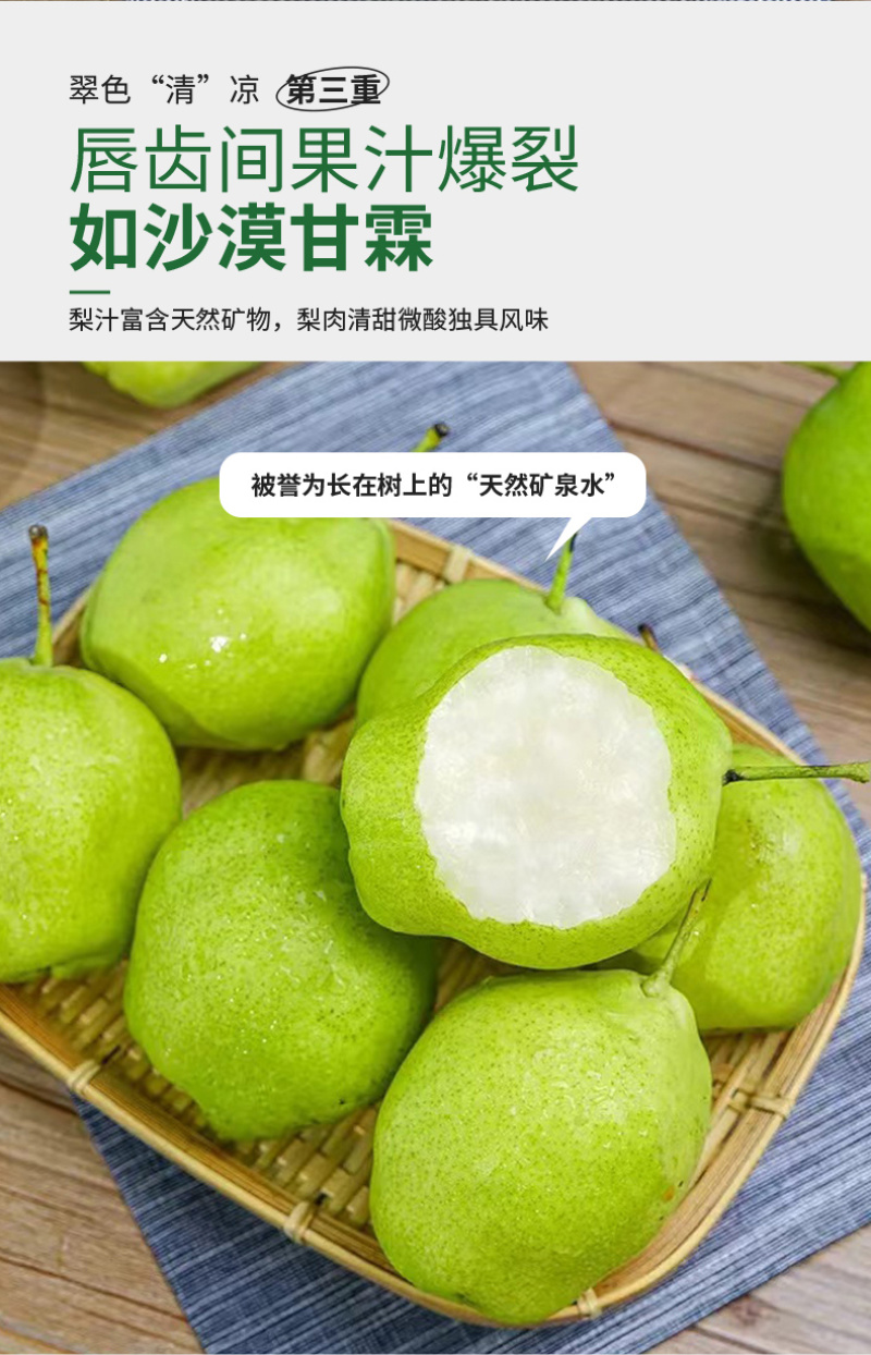 条山酥梨，早酥梨，做电商支持一件代发，产地直发3公斤25.4