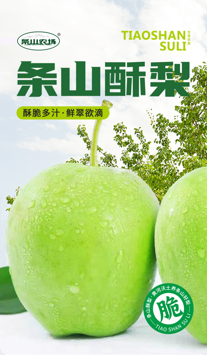 条山酥梨，早酥梨，做电商支持一件代发，产地直发3公斤25.4