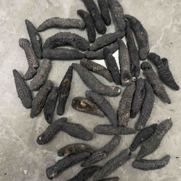 小刺秃，刺秃参，电商爆品，规格齐全，量大从优，可独立。