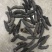 小刺秃，刺秃参，电商爆品，规格齐全，量大从优，可独立。