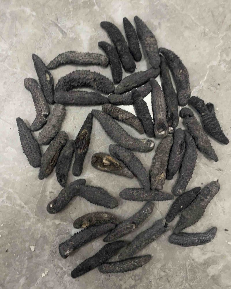 小刺秃，刺秃参，电商爆品，规格齐全，量大从优，可独立。