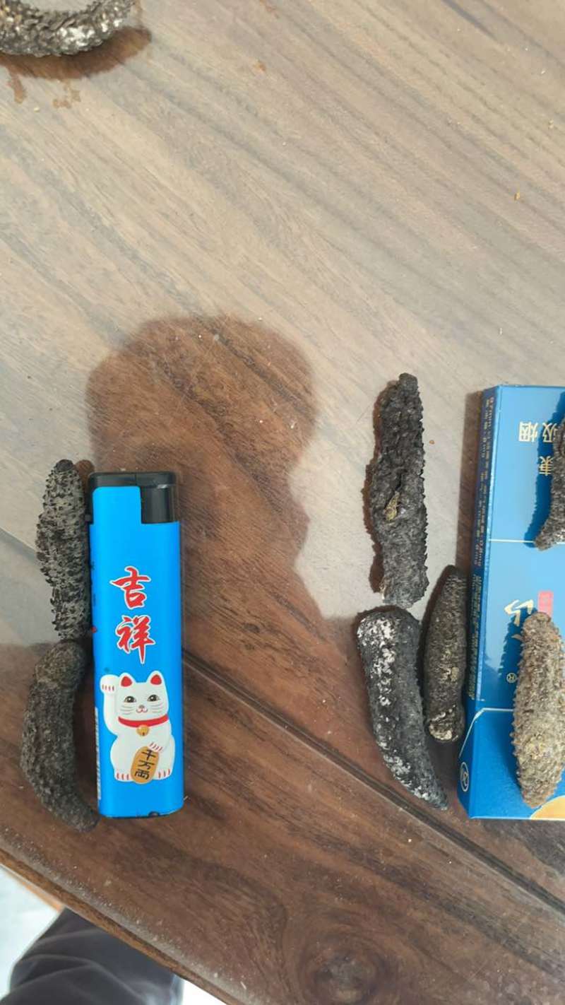 小刺秃，刺秃参，电商爆品，规格齐全，量大从优，可独立。