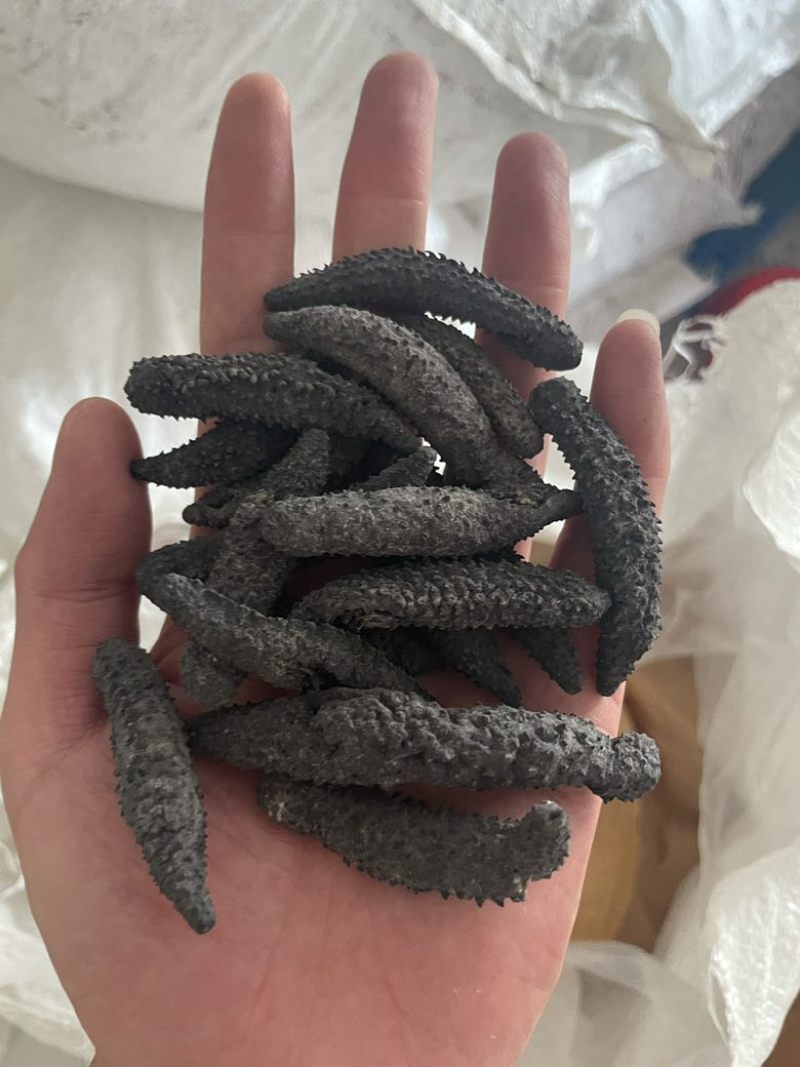 小刺秃，刺秃参，电商爆品，规格齐全，量大从优，可独立。