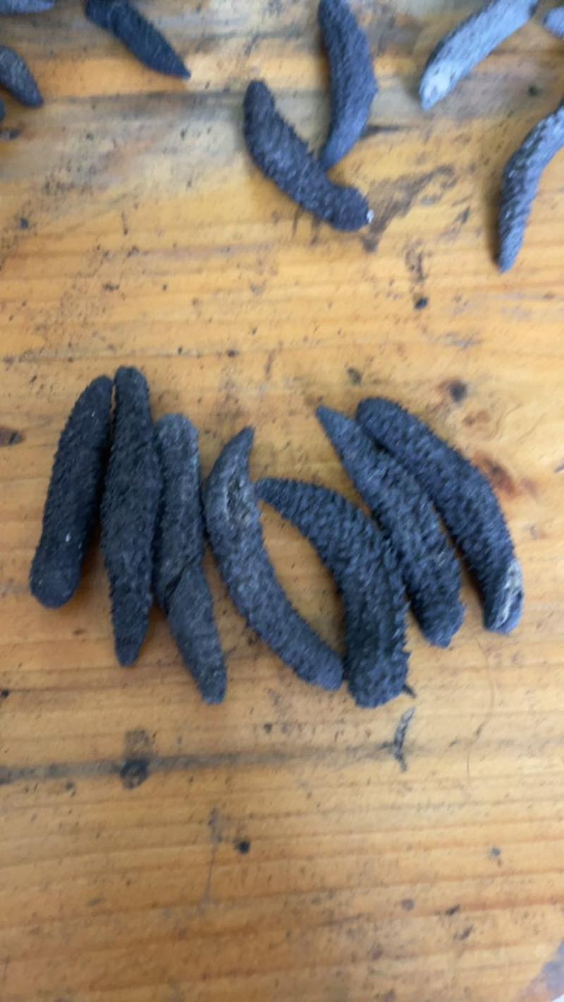 小刺秃，刺秃参，电商爆品，规格齐全，量大从优，可独立。