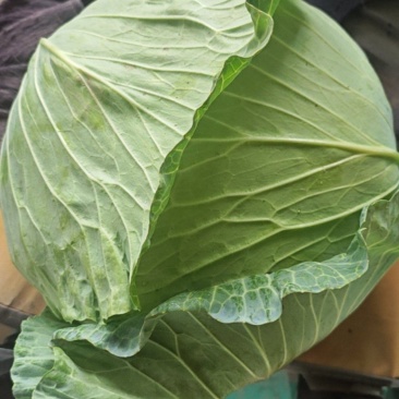 精品扁包