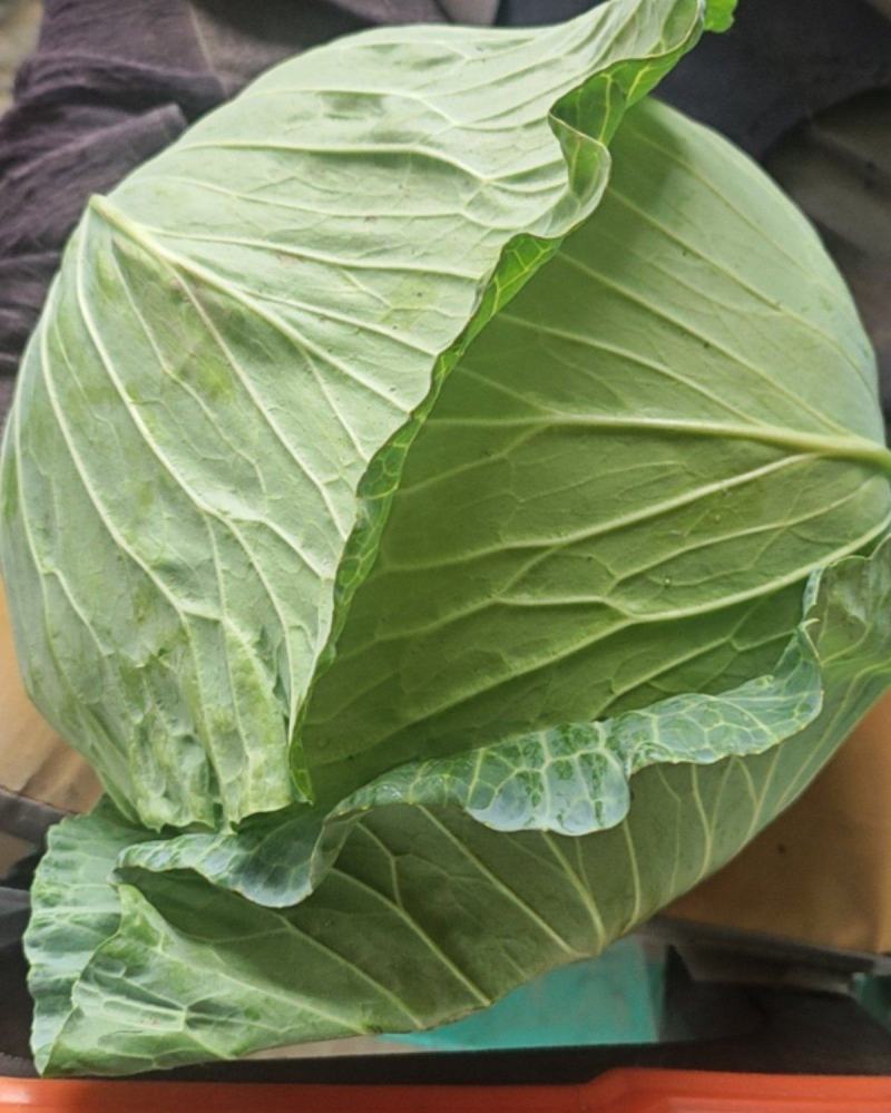精品扁包