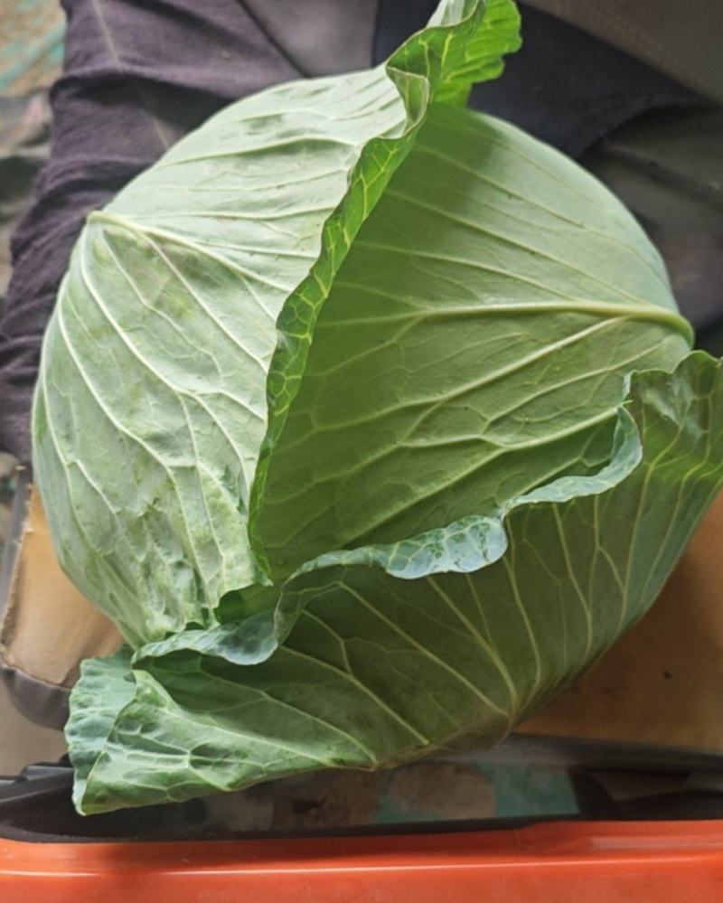精品扁包