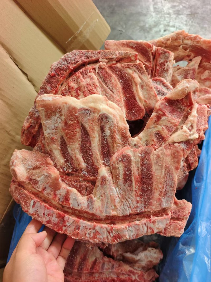 猪胫骨