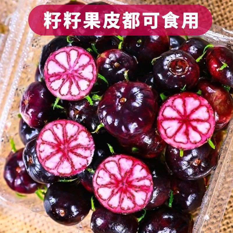 云南红果高山尝鲜正宗新鲜水果鲜果大果蜘蛛现摘当季稀有整箱批发