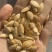 批发，代发，电商带货椒盐味南瓜子