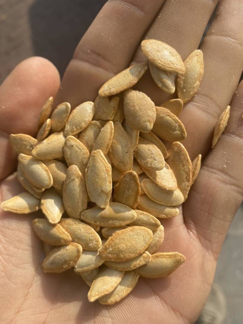 批发，代发，电商带货椒盐味南瓜子