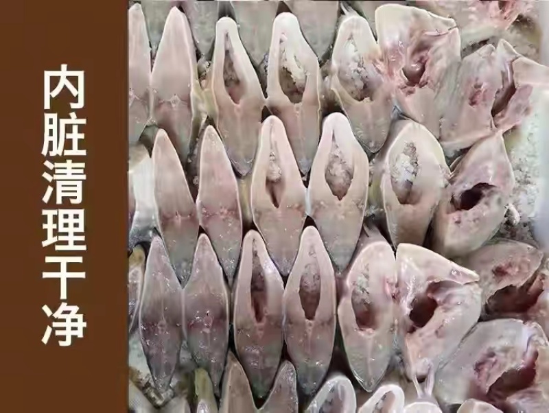 湛江特产金鲳鱼
