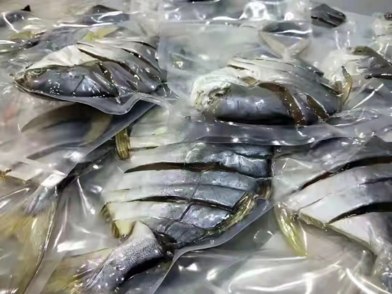 湛江特产金鲳鱼