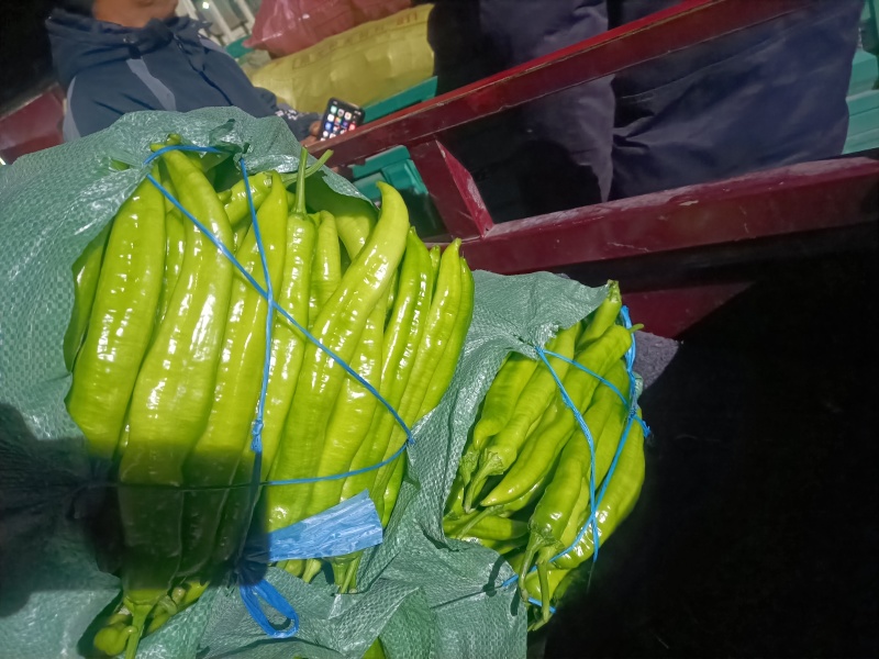 黄皮辣椒