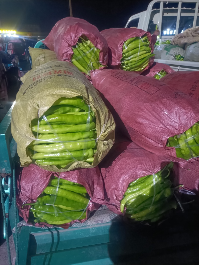 黄皮辣椒