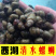 螺蛳