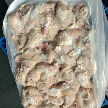 二级排腿
