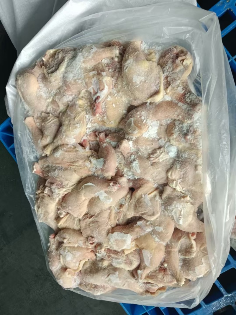 二级排腿