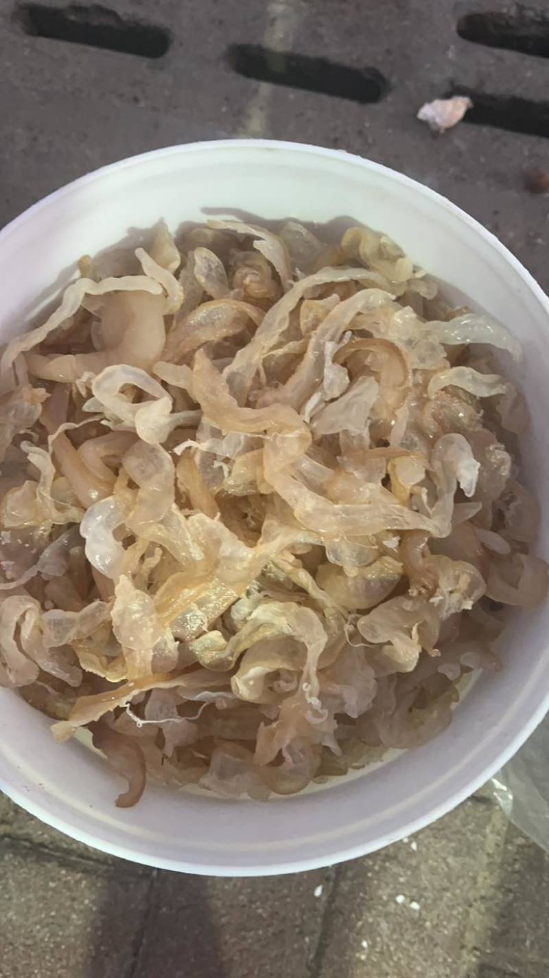 批发海蜇皮海蜇头