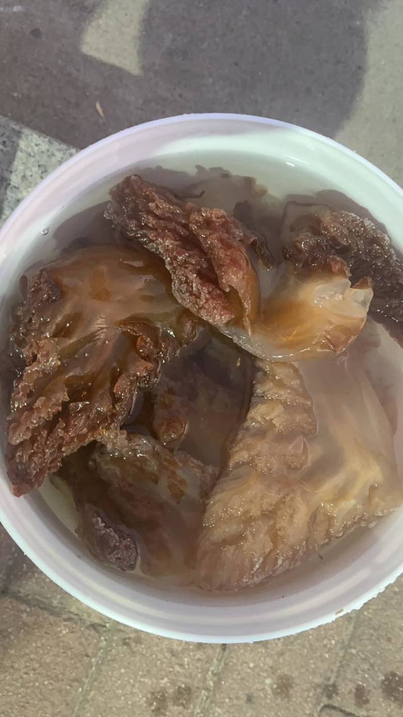 批发海蜇皮海蜇头