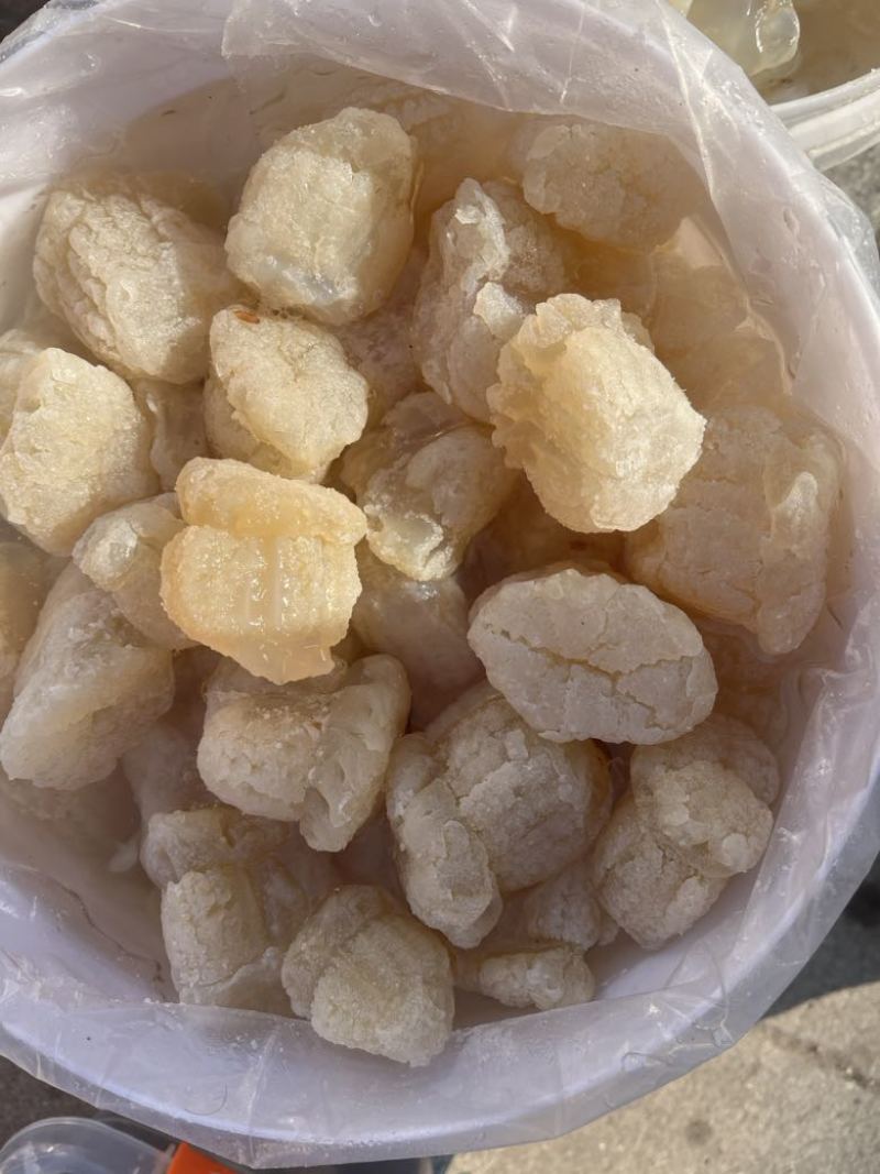 批发海蜇皮海蜇头