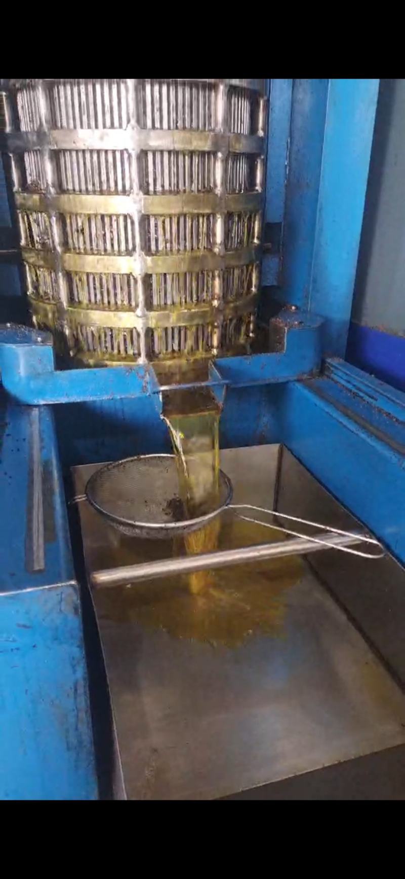 正宗山茶籽油