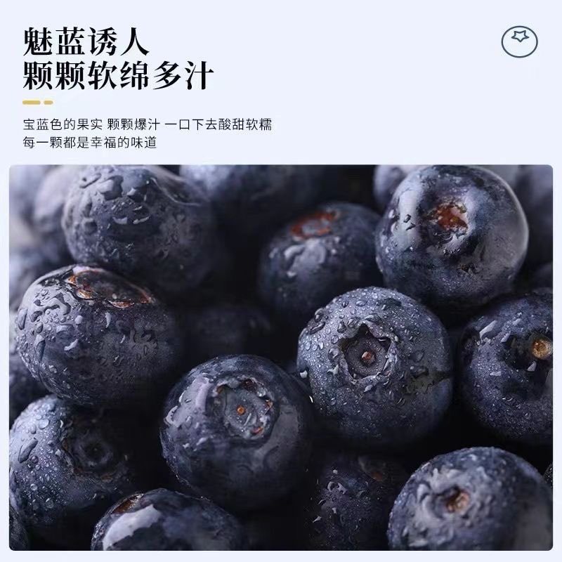 【***】一件代发云南白蓝莓新鲜产地现摘蓝莓鲜果应季水果蓝莓