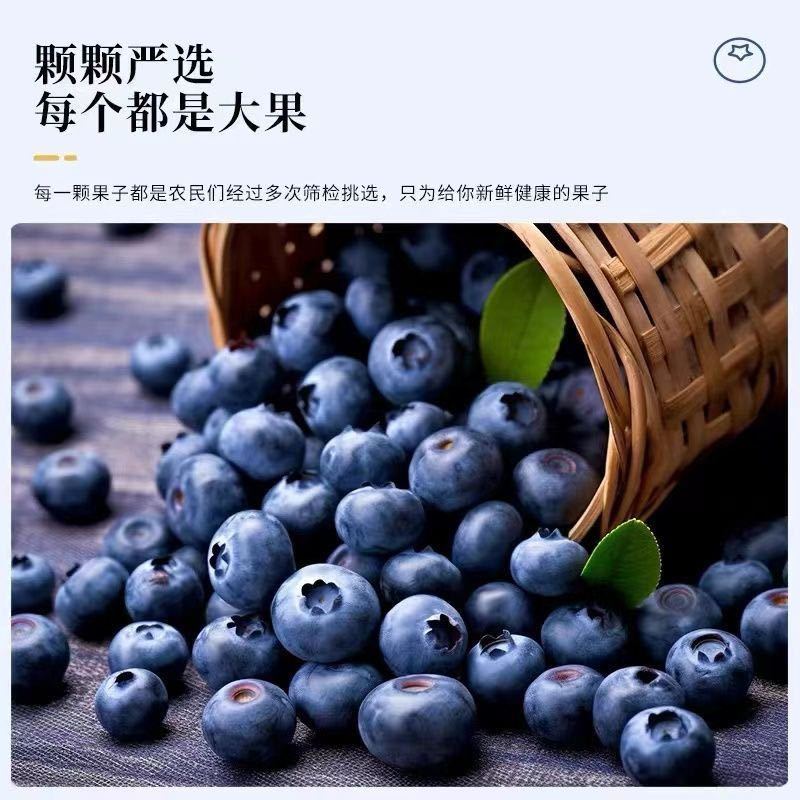 【***】一件代发云南白蓝莓新鲜产地现摘蓝莓鲜果应季水果蓝莓
