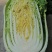 辽宁黄心白菜