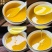 山茶籽山茶油