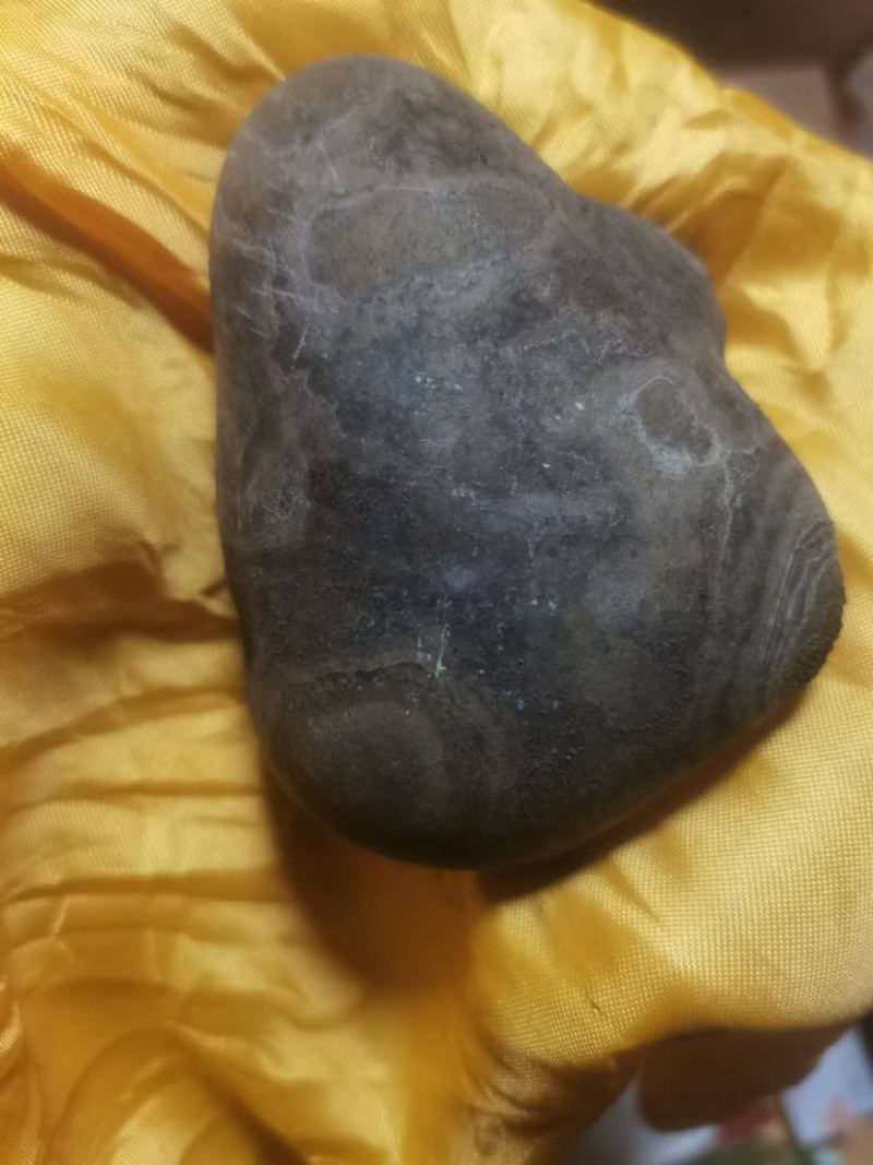 驴宝