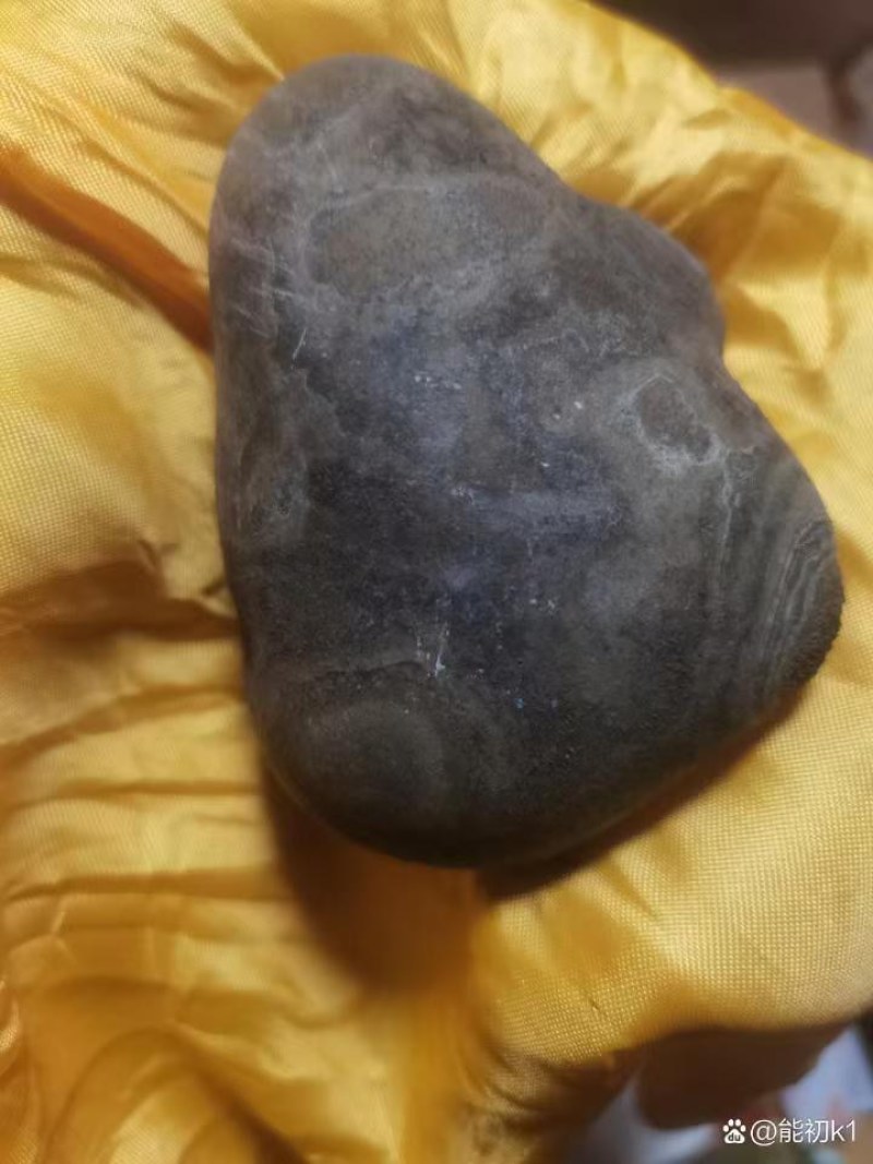 驴宝