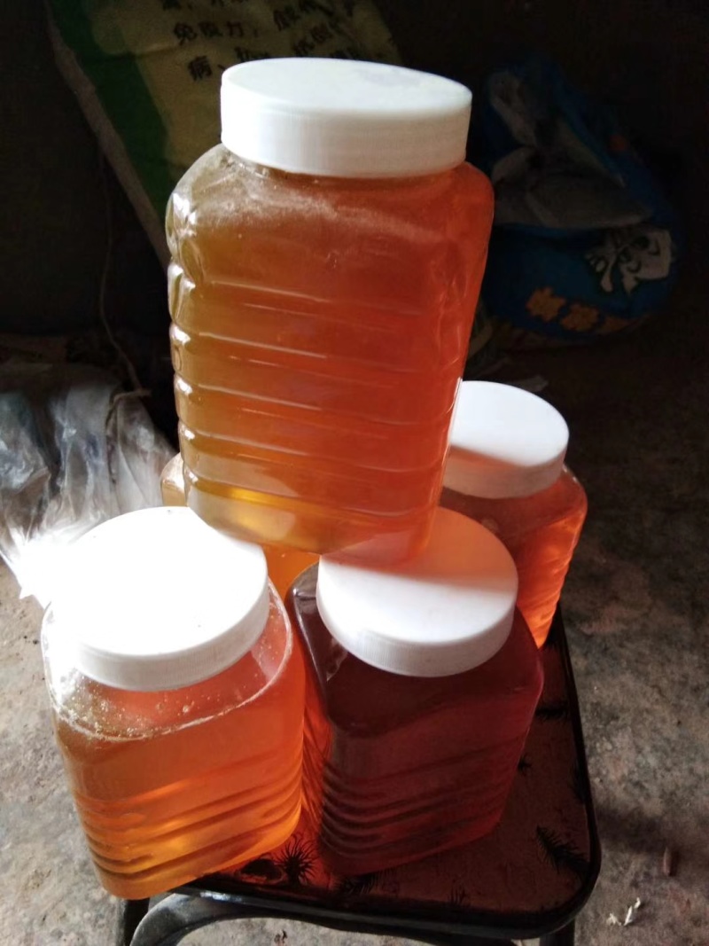 正宗云南土蜂蜜