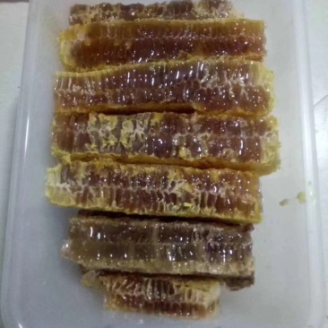 正宗云南土蜂蜜