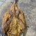 湖南手工烟熏腊鸭