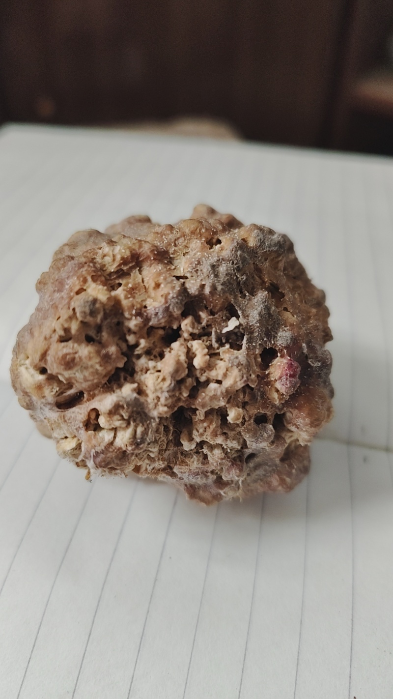 中药动物狗宝