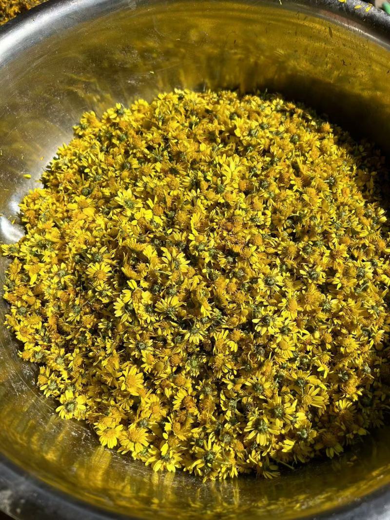 野生干菊花