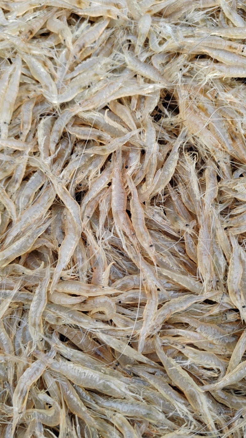 小白虾4-6规格