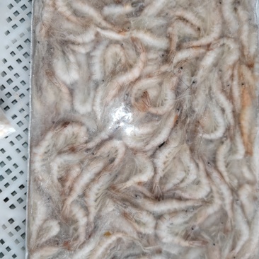 小白虾4-6规格