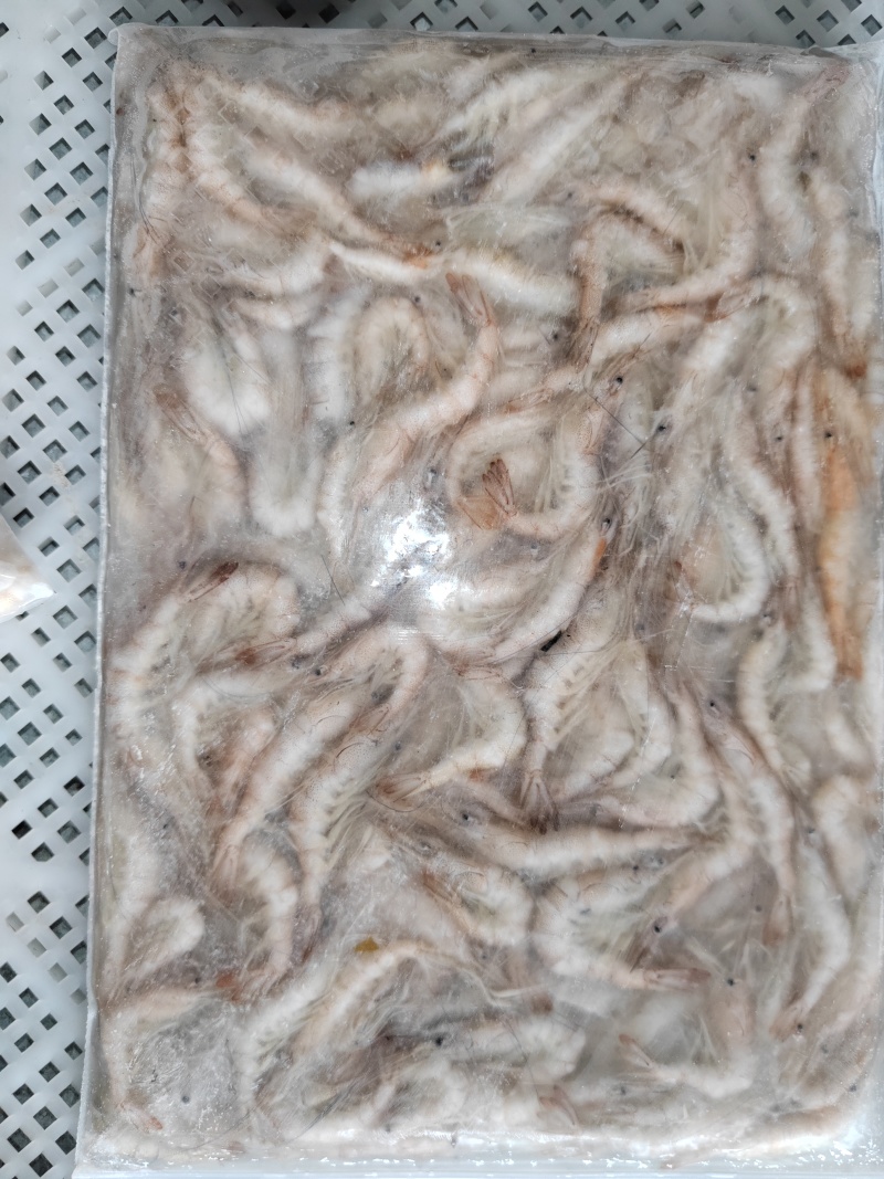 小白虾4-6规格
