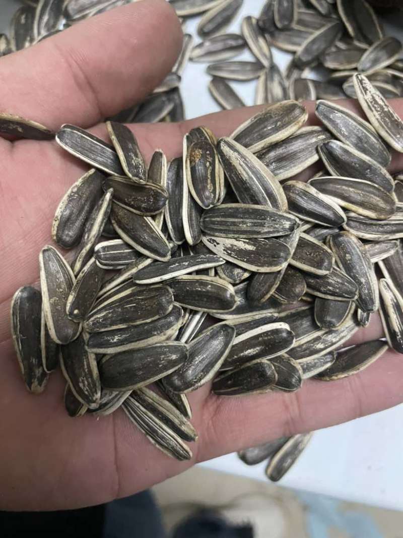 电商葵花籽原味熟瓜子生瓜子支持一件貸发超市促销