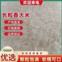 东北长粒香大米颗颗饱满粒粒香原产地直发大量供应