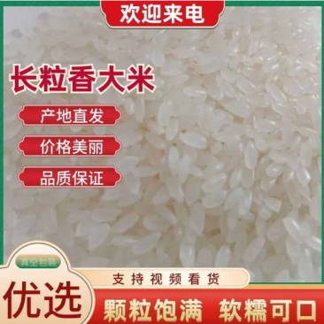东北长粒香大米颗颗饱满粒粒香原产地直发大量供应