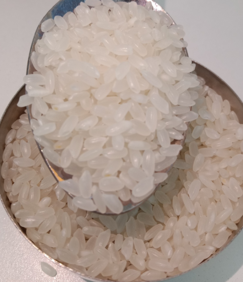 东北长粒香大米颗颗饱满粒粒香原产地直发大量供应