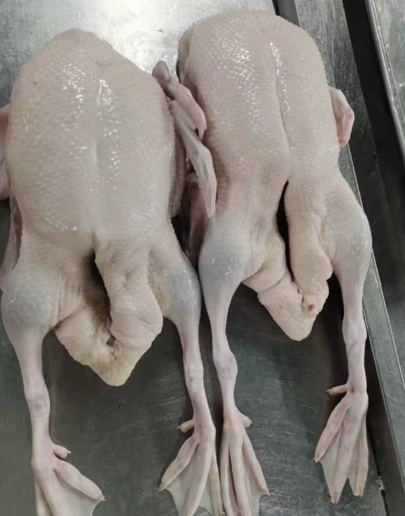 大量有货