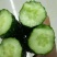 蜜刺黄瓜