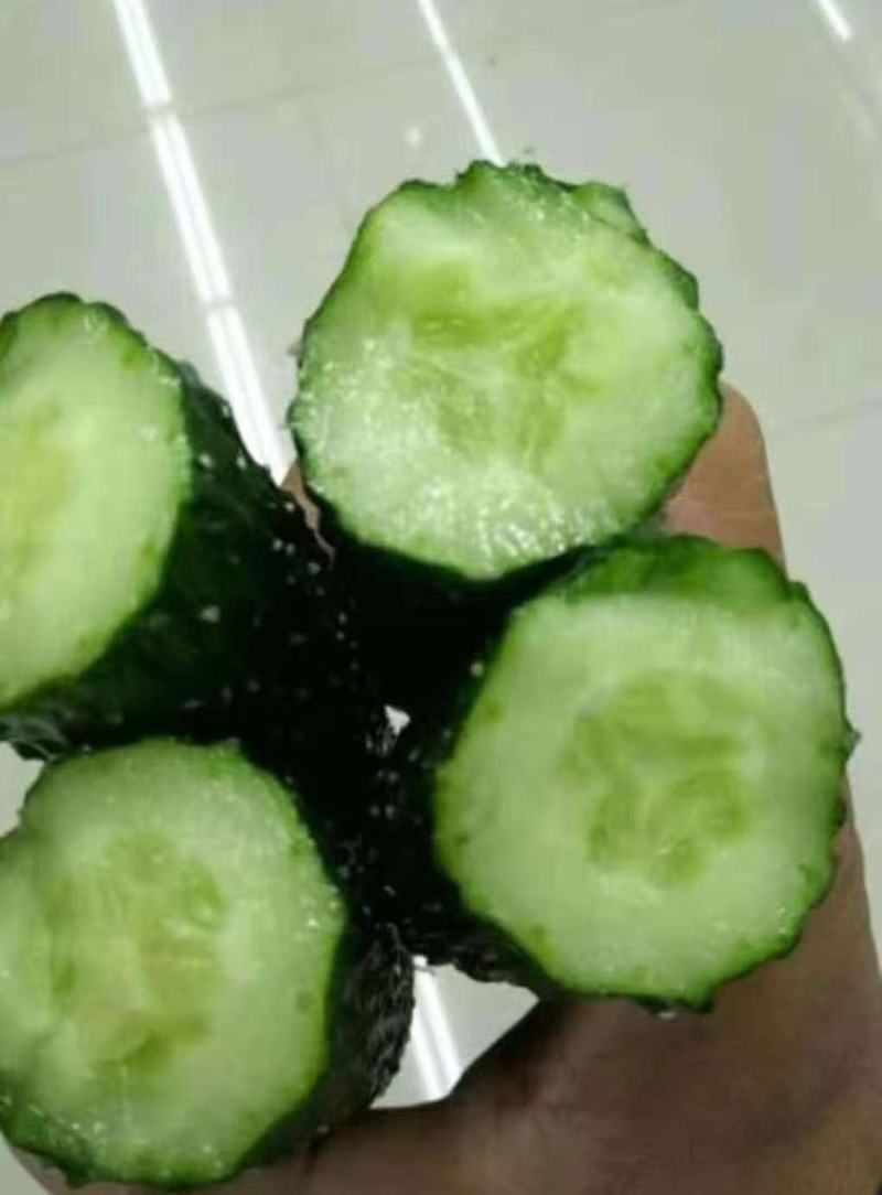蜜刺黄瓜