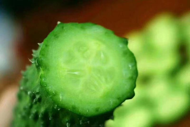 蜜刺黄瓜