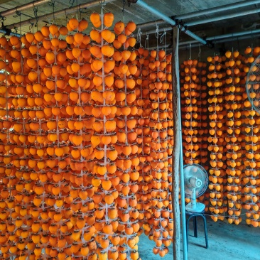 陕西富平柿饼